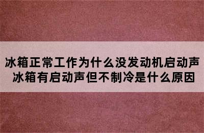 冰箱正常工作为什么没发动机启动声 冰箱有启动声但不制冷是什么原因